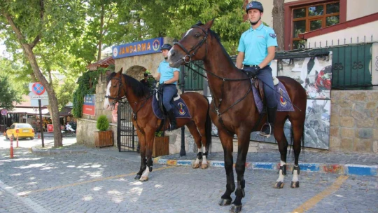 Elazığ'da 'Atlı Jandarma Timi' göreve başladı