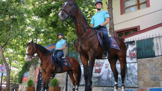 Elazığ'da 'Atlı Jandarma Timi' göreve başladı