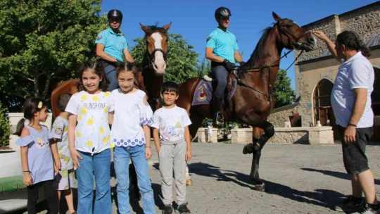 Elazığ'da 'Atlı Jandarma Timi' göreve başladı