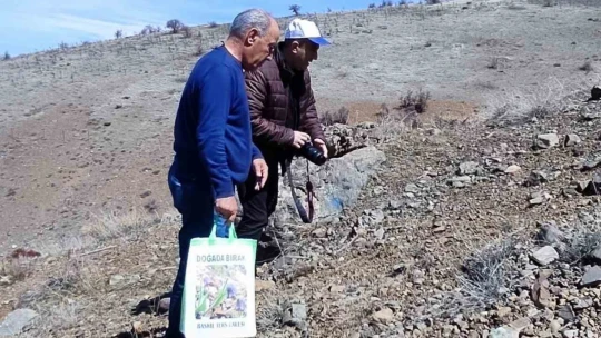 Elazığ'da 'Baskil ters lalesi' izleme çalışması yapıldı