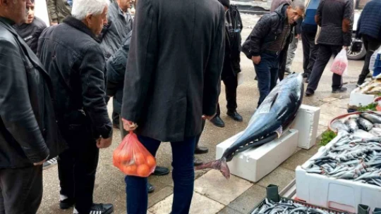 Elazığ'da 1 metre 74 santimetrelik dev orkinos yoğun ilgi gördü