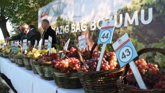 Elazığ'da 17'nci Bağ Bozumu Festivali gerçekleştirildi