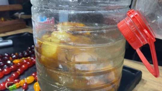 Elazığ'da 2 bin yıllık kehribar taşı tespih yapılması için suda bekletiliyor