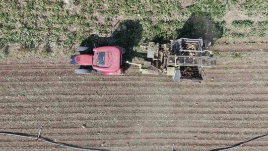 Elazığ'da 37 bin dönüm alanda pancar hasadı başladı