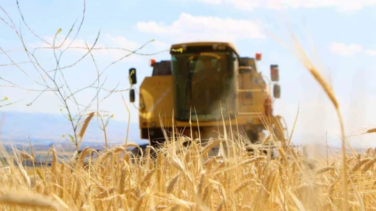 Elazığ'da 900 bin dekar alanda hasat yapılması bekleniyor