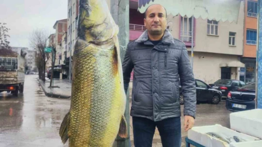 Elazığ'da ağa takılan yaklaşık 2 metrelik dev turna şaşırttı: tam 28 yaşında