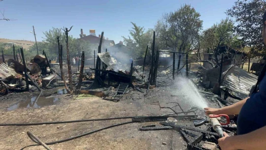 Elazığ'da ahır ve kümes yangını: 15 keçi, 29 tavuk telef oldu