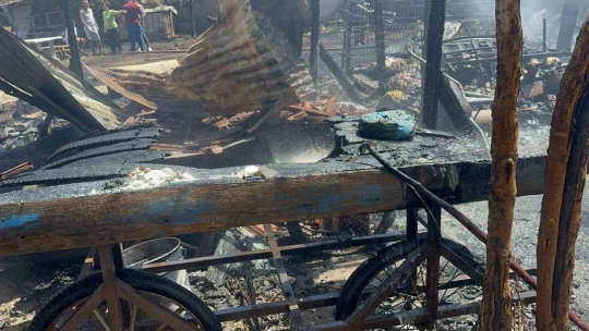 Elazığ'da ahır ve kümes yangını: 15 keçi, 29 tavuk telef oldu