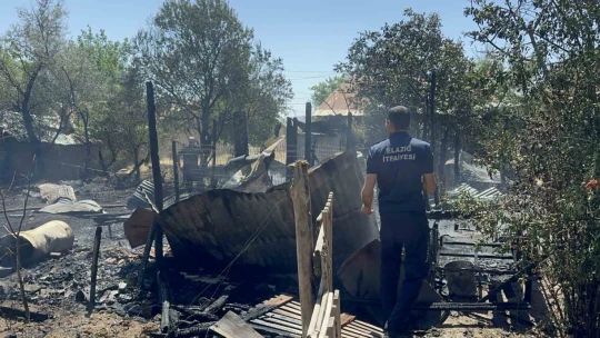 Elazığ'da ahır ve kümes yangını: 15 keçi, 29 tavuk telef oldu