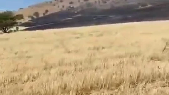 Elazığ'da anız yangını