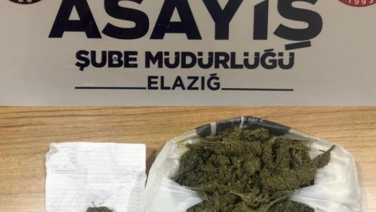 Elazığ'da asayiş uygulamaları: Uyuşturucu madde ve ruhsatsız silah ele geçirildi