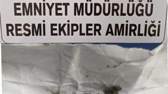 Elazığ'da asayiş uygulamaları