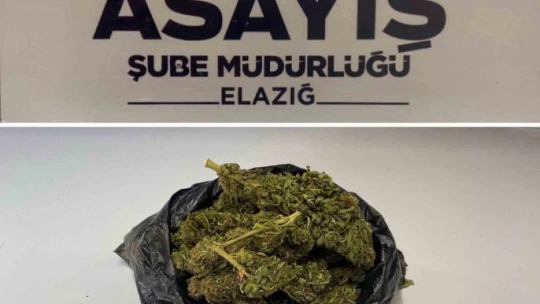 Elazığ'da asayiş uygulaması