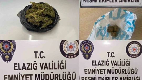 Elazığ'da asayiş uygulaması