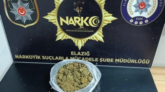 Elazığ'da asayiş uygulamasında aranan 10 şahıs yakalandı