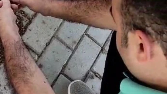 Elazığ'da baba ve oğlu karıncaları elleri ile besledi