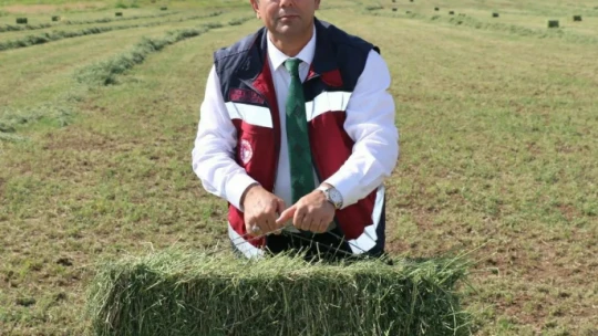 Elazığ'da balyalama  mesaisi başladı