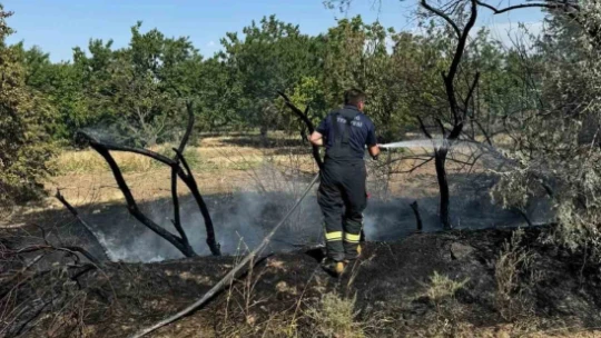 Elazığ'da bir günde 15 farklı yangın