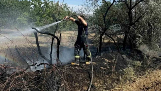 Elazığ'da bir günde 15 farklı yangın