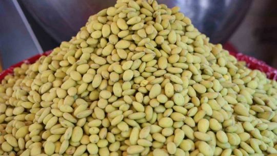 Elazığ'da bir ilk: Vişneli badem şekerinin ardından limonlusu yapıldı