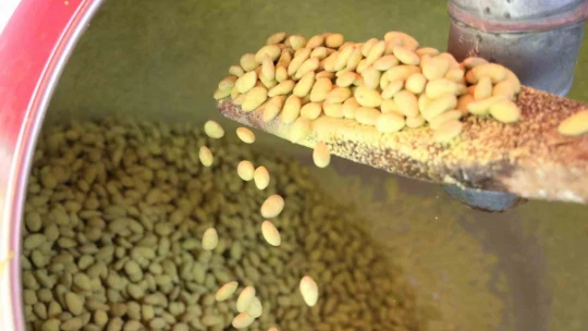 Elazığ'da bir ilk: Vişneli badem şekerinin ardından limonlusu yapıldı