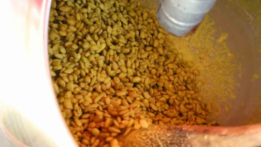 Elazığ'da bir ilk: Vişneli badem şekerinin ardından limonlusu yapıldı