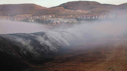 Elazığ'da çıkan yangında 400 ton saman kül oldu
