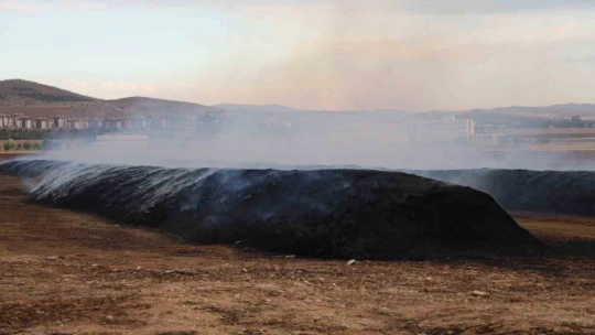 Elazığ'da çıkan yangında 400 ton saman kül oldu