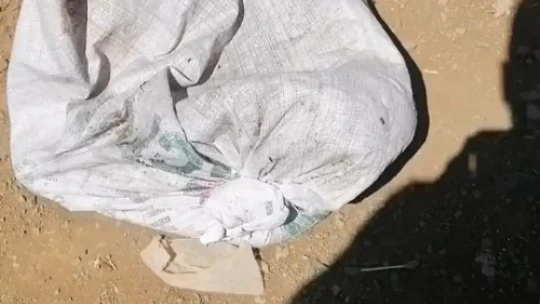 Elazığ'da çuvala konulan köpek ölüme terk edildi