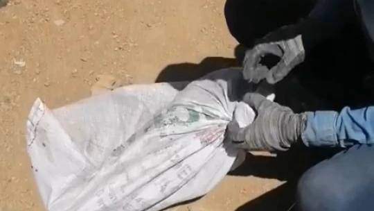 Elazığ'da çuvala konulan köpek ölüme terk edildi