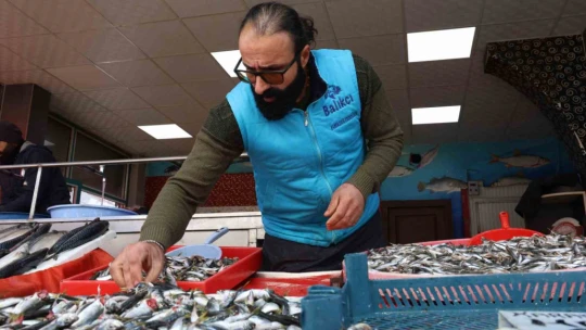 Elazığ'da en çok tercih edilen balık çeşitleri hamsi, istavrit ve alabalık oldu