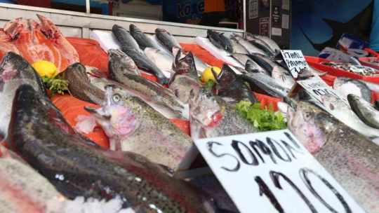 Elazığ'da en çok tercih edilen balık çeşitleri hamsi, istavrit ve alabalık oldu