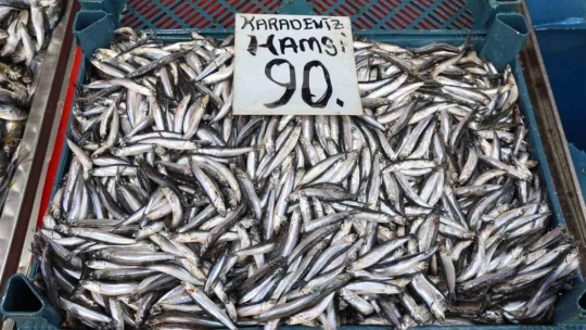 Elazığ'da en çok tercih edilen balık çeşitleri hamsi, istavrit ve alabalık oldu