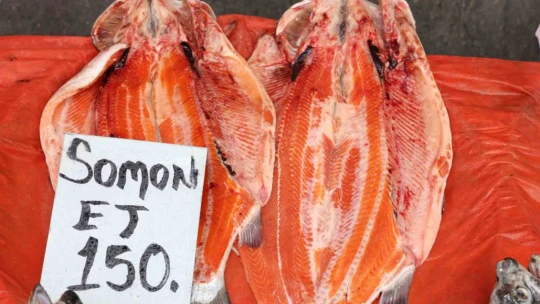 Elazığ'da en çok tercih edilen balık çeşitleri hamsi, istavrit ve alabalık oldu