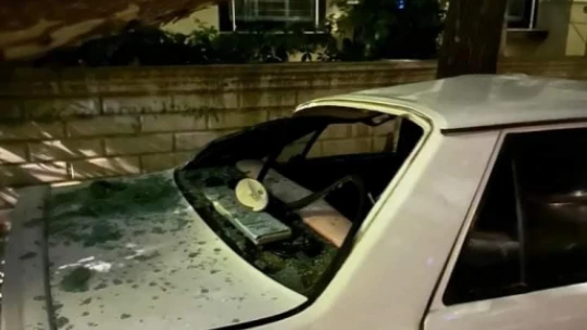 Elazığ'da fırtınanın etkisiyle araçların üzerine ağaç devrildi