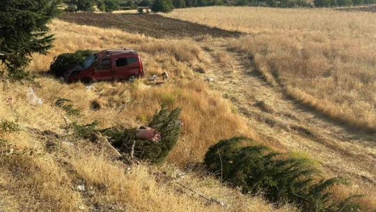 Elazığ'da hafif ticari araç şarampole uçtu: 1 ölü, 4  yaralı
