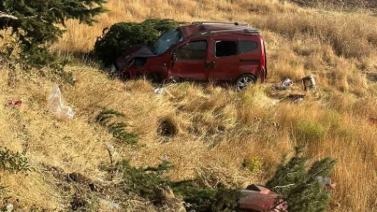 Elazığ'da hafif ticari araç şarampole uçtu: 1 ölü, 4  yaralı