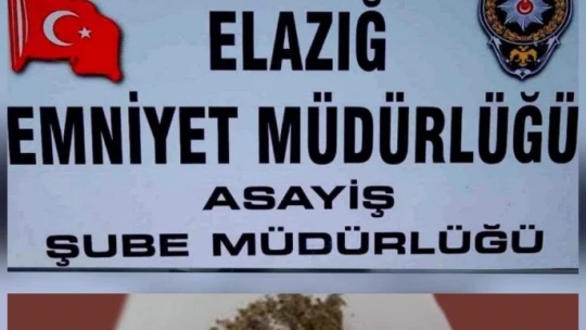 Elazığ'da haklarında kesinleşmiş hapis cezası bulunan 7 kişi yakalandı