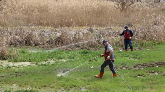 Elazığ'da havaların ısınmasıyla ilaçlama çalışmalarına hız verildi