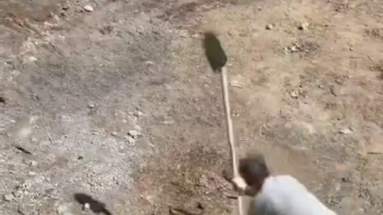 Elazığ'da işçiler tarafından etkisiz hale getirilen yılanın kafa kısmı kaçmaya devam etti