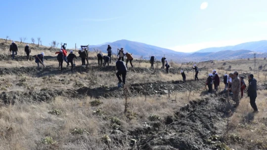 Elazığ'da jandarma ekipleri öğrencilerle fidan dikti