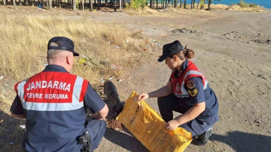 Elazığ'da jandarma ekipleri, sokak hayvanlarını unutmadı
