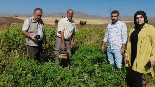 Elazığ'da kaçak avcıların kullandığı, bıldırcın sesi çıkaran cihaz ele geçirildi
