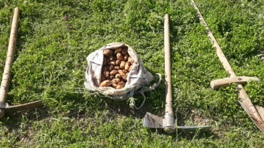 Elazığ'da kaçak salep soğanı toplayan 26 kişiye 2 milyon 964 bin lira ceza