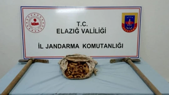 Elazığ'da kaçak salep soğanı toplayan 26 kişiye 2 milyon 964 bin lira ceza