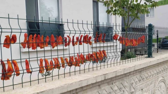 Elazığ'da kadınların kış hazırlığı renkli görüntüler oluşturdu