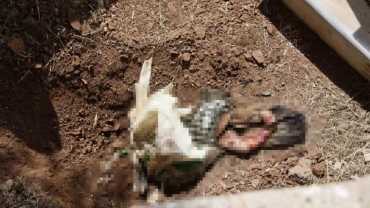 Elazığ'da kan donduran olay: Poşete sarılı bebek cesedi bulundu
