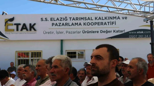 Elazığ'da kayısı işleme, paketleme ve analiz tesisi açıldı