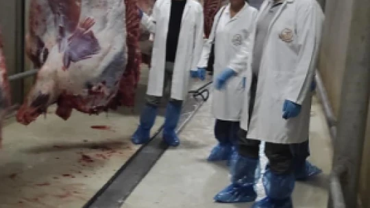 Elazığ'da kesimhaneler denetlendi