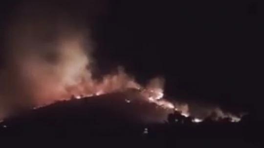 Elazığ'da korkutan orman yangını